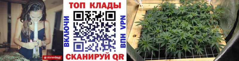 Где купить наркоту Покровск Альфа ПВП OMG как войти Канабис