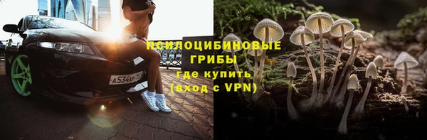 кокс Белокуриха