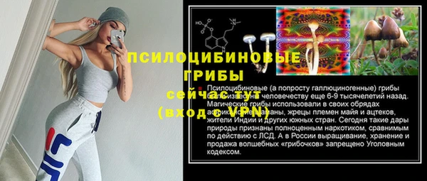 кокс Белокуриха